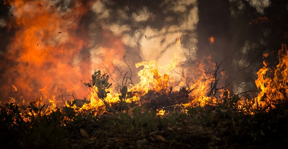 incendio-amazonas-bosque-ONG-bolsonaro-brasil