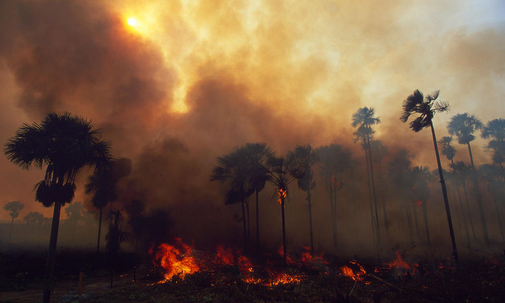 incendios-del-amazonas-brasil-gobierno-bolsonaro-