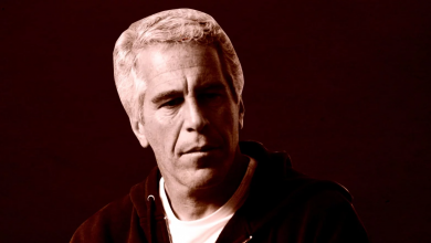 Photo of ¿Jeffrey Epstein se suicidó o lo asesinaron?