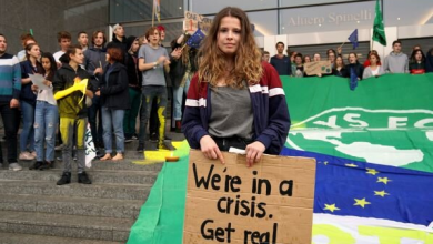 Photo of ¿Los activistas del planeta son cyberbulleados por intenet?