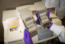 Photo of Detector de Violación: El ADN en la tecnología actual