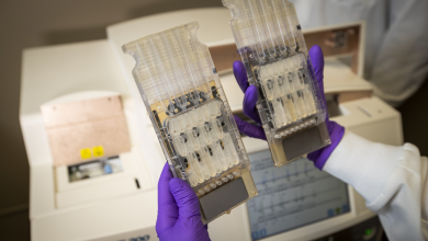 Photo of Detector de Violación: El ADN en la tecnología actual