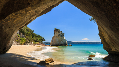 Photo of Multimillonario Alemán ofrece un escape con todo pagado para 10 personas