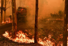 Photo of ¿Sydney se incendia?: Australia sin agua parte 2