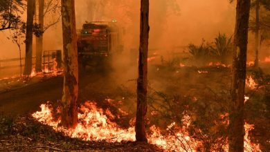 Photo of ¿Sydney se incendia?: Australia sin agua parte 2