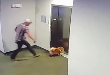 Photo of ¡Perro quedó atascado en un ascensor y es rescatado antes de lo peor!