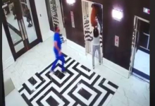 Photo of Doctor salva a un perro que iba a ser ahorcado por un ascensor