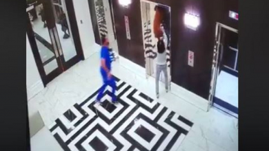 Photo of Doctor salva a un perro que iba a ser ahorcado por un ascensor