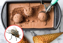 Photo of Helado de insectos: ¿El nuevo lujo gourmet?