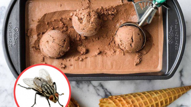 Photo of Helado de insectos: ¿El nuevo lujo gourmet?