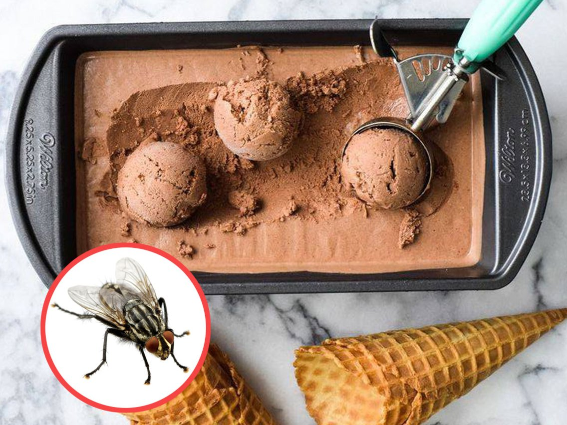 Helado-de-insectos-entomilk-Gourmet-grubb-