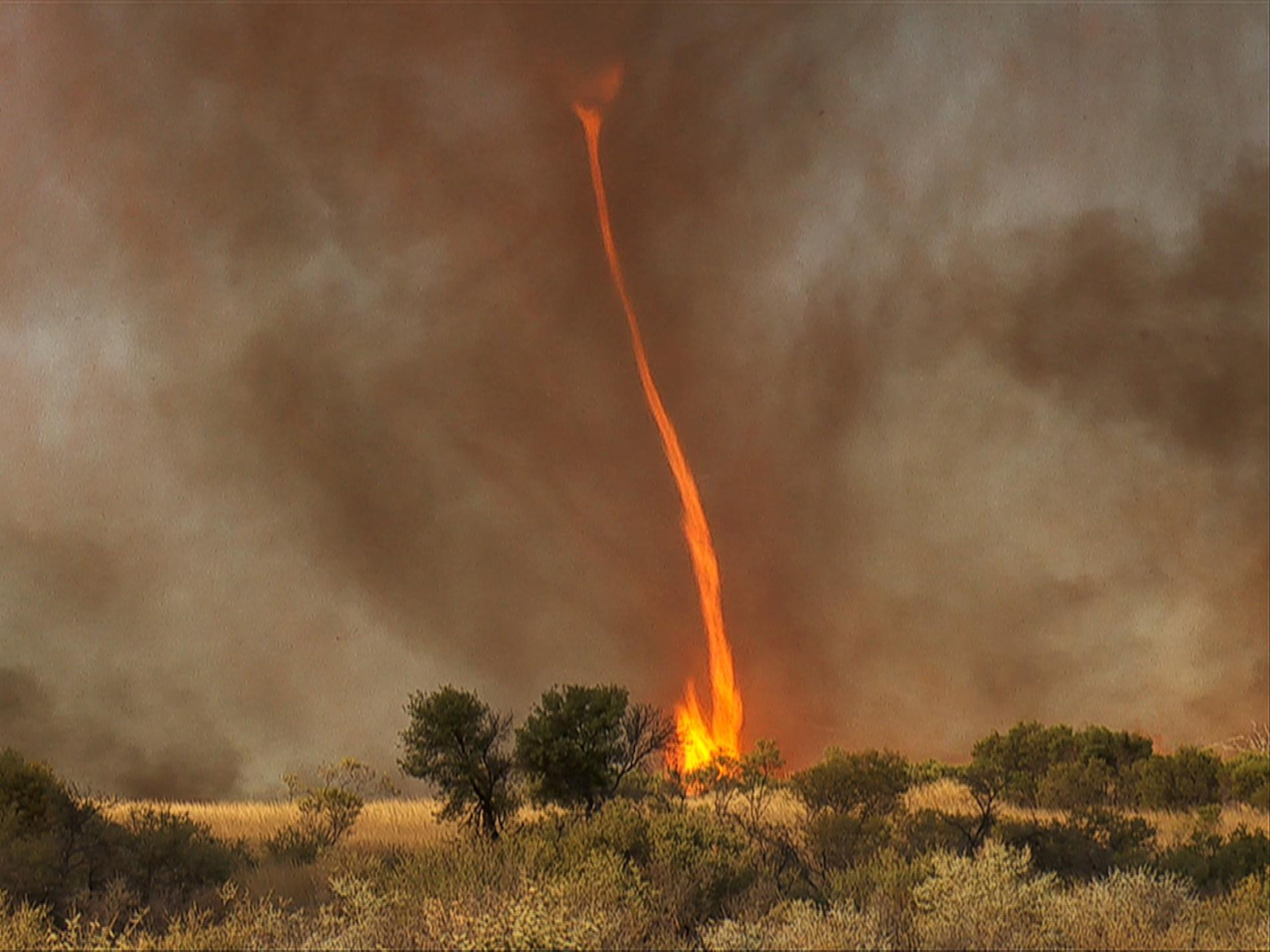 Tornados-de-fuego-Australia-calentamiento-global-sequía-incendio-