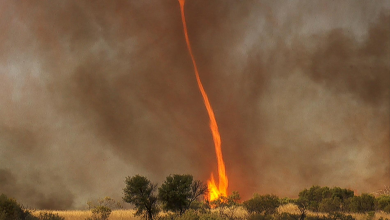 Photo of ¿Tornados de Fuego aparecen en Australia?