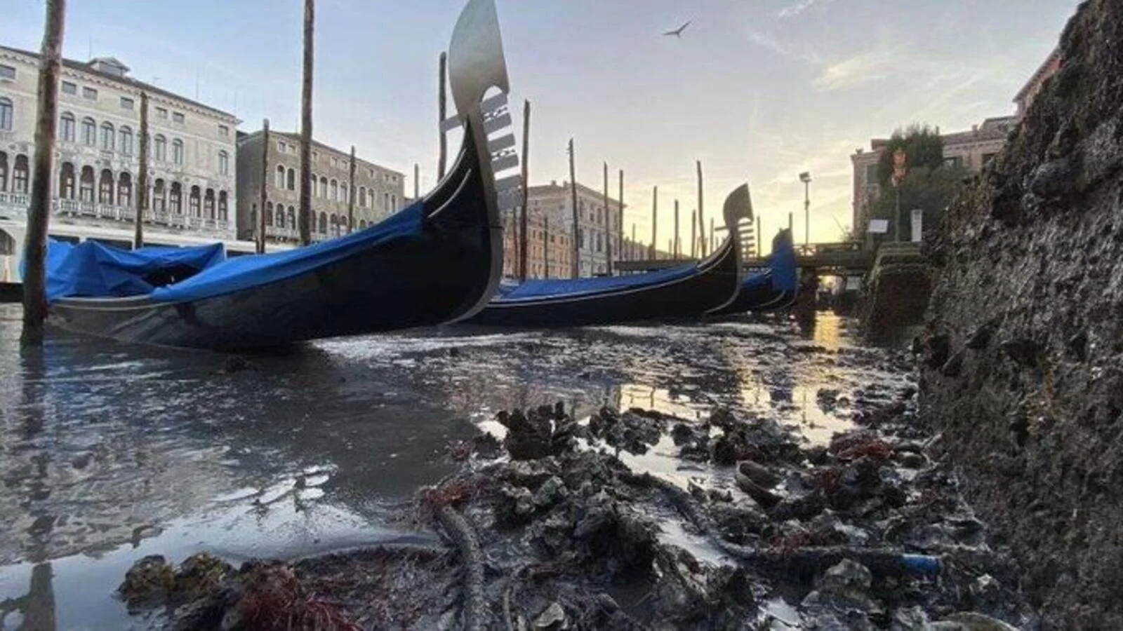 Venecia-queda-sin-agua-inundaciones-góndolas-canales-