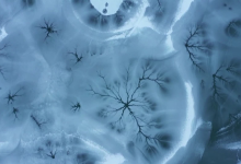 Photo of ¿El Lago más precioso del mundo está en China?