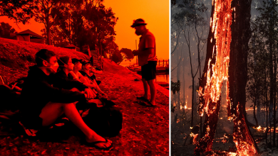 Photo of Familia quedó atrapada por 6 días en un teatro en Australia