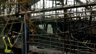 Photo of Lámparas de los deseos incendian un zoológico y mueren 30 animales