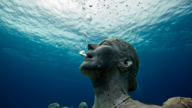 Photo of Respirar debajo del agua podría dejar de ser un sueño