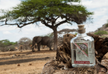 Photo of ¿Ginebra de elefante? A que no adivinas de donde viene…
