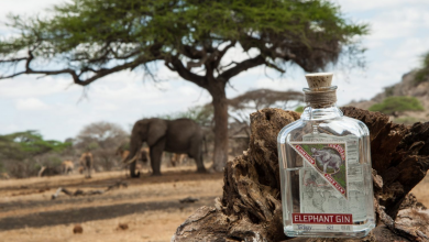 Photo of ¿Ginebra de elefante? A que no adivinas de donde viene…