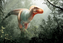 Photo of Granjero descubrió nueva especie de Tiranosaurio en Canadá