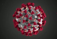 Photo of Guía absoluta contra el Coronavirus: Cortesía del Dr. Elmer Huerta