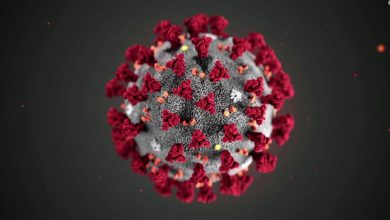 Photo of Guía absoluta contra el Coronavirus: Cortesía del Dr. Elmer Huerta