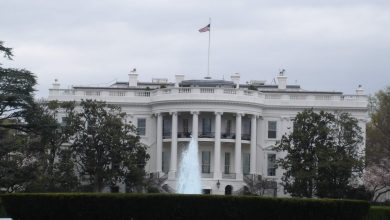 Photo of Estados Unidos: tensión por aumento de muertes ¿Quién es el culpable?