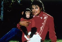 Photo of 11 años sin Michael Jackson: el Rey del pop murió un 25 de junio