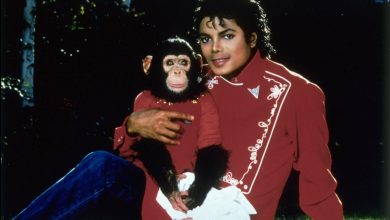 Photo of 11 años sin Michael Jackson: el Rey del pop murió un 25 de junio