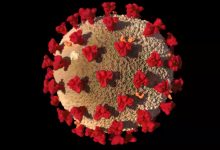 Photo of Panorama complicado: el virus no desaparecerá pronto