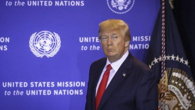 Photo of 50.000 casos en un día: E.E.U.U. alcanza su cifra máxima