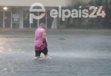 Photo of Tormenta tropical Sally: devastador paso por los E.E.U.U