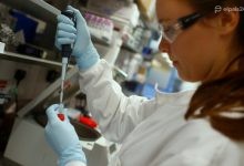 Photo of Vacuna de Oxford funciona: fuerte respuesta inmune