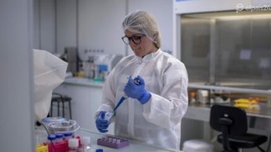 Photo of Astrazeneca: la vacuna estará para marzo de 2021
