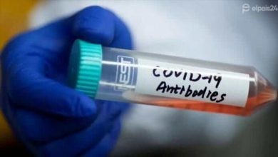 Photo of ¿Tratamiento con anticuerpos monoclonales o vacunas?