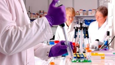 Photo of Vacuna de Pfizer anuncia 90 por ciento de efectividad