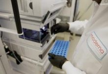 Photo of Moderna: ¿Cómo será la distribución de la vacuna?