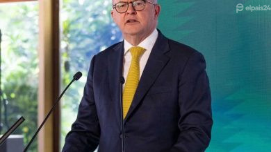Anthony Albanese anunció el reconocimiento del Estado Palestino