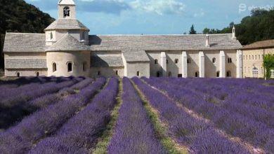 Qué ver en la Provenza francesa