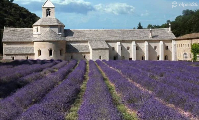 Qué ver en la Provenza francesa