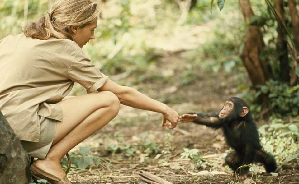 Jane Goodall