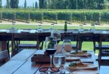 Photo of Conocé la mejor bodega del mundo: Piedra Infinita, en Argentina