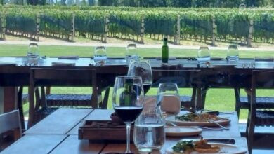 Photo of Conocé la mejor bodega del mundo: Piedra Infinita, en Argentina