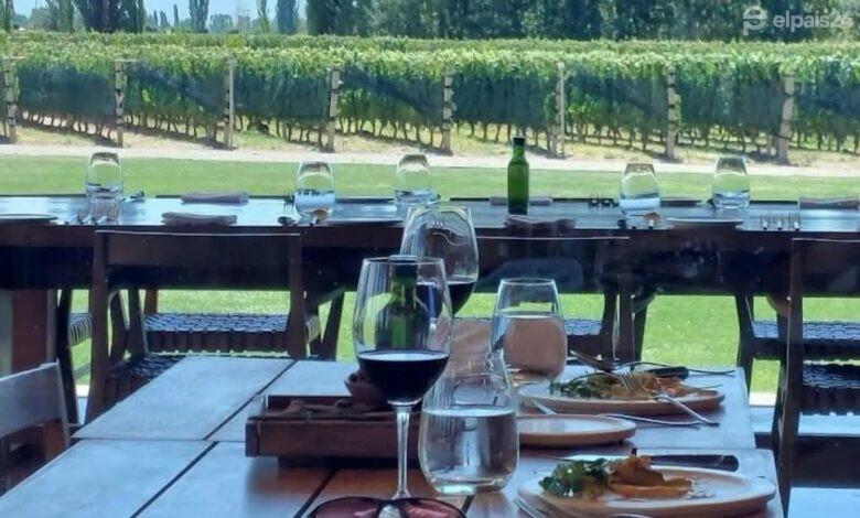 ¿Cuál es la mejor bodega del mundo?