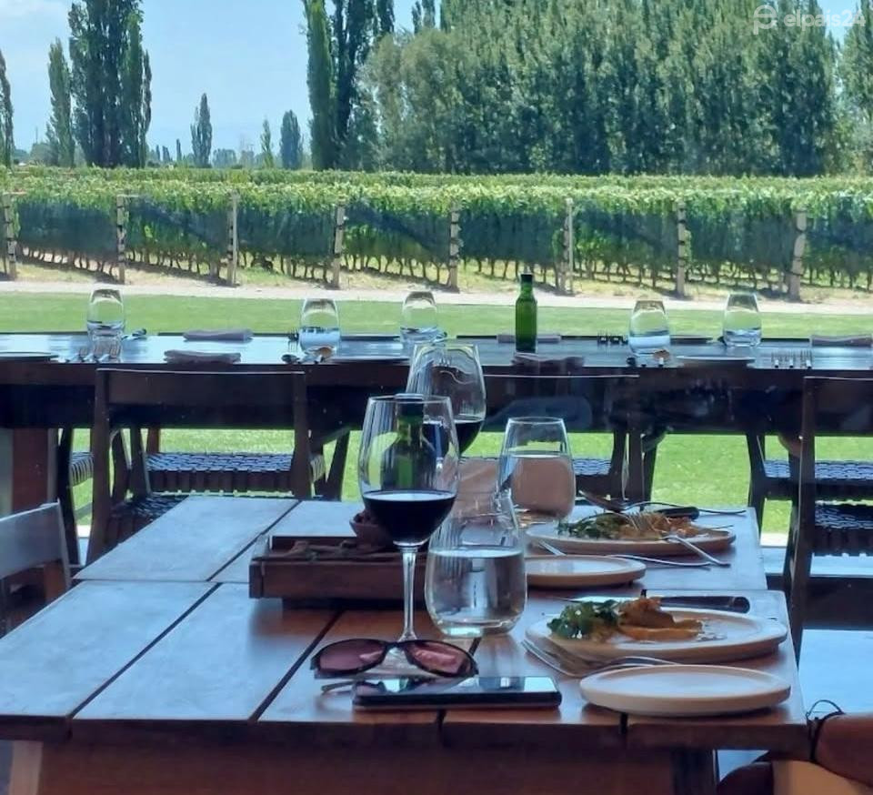 ¿Cuál es la mejor bodega del mundo?